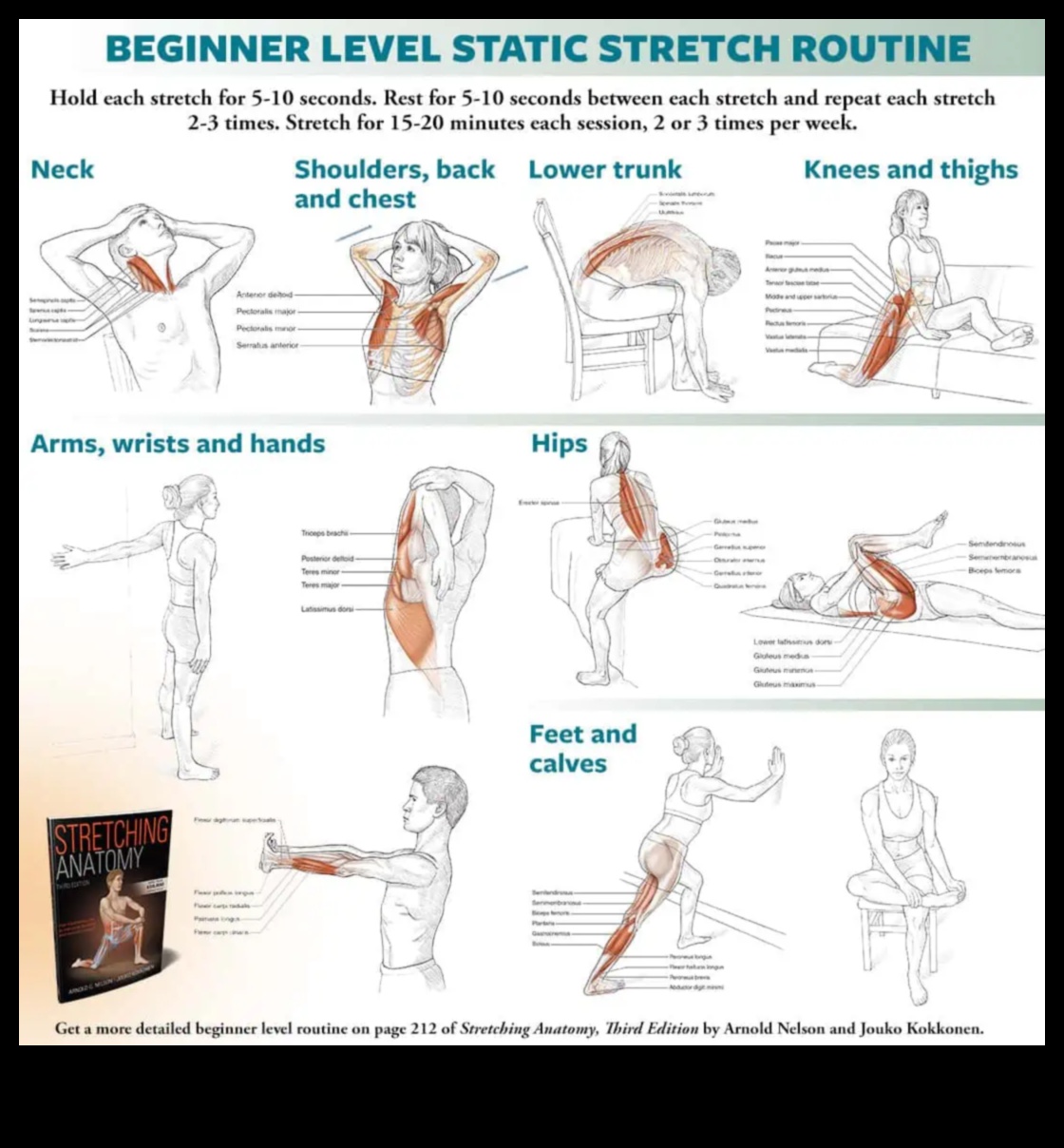 Stretching Mastery: Δημιουργήστε την προσωπική σας ρουτίνα ευελιξίας