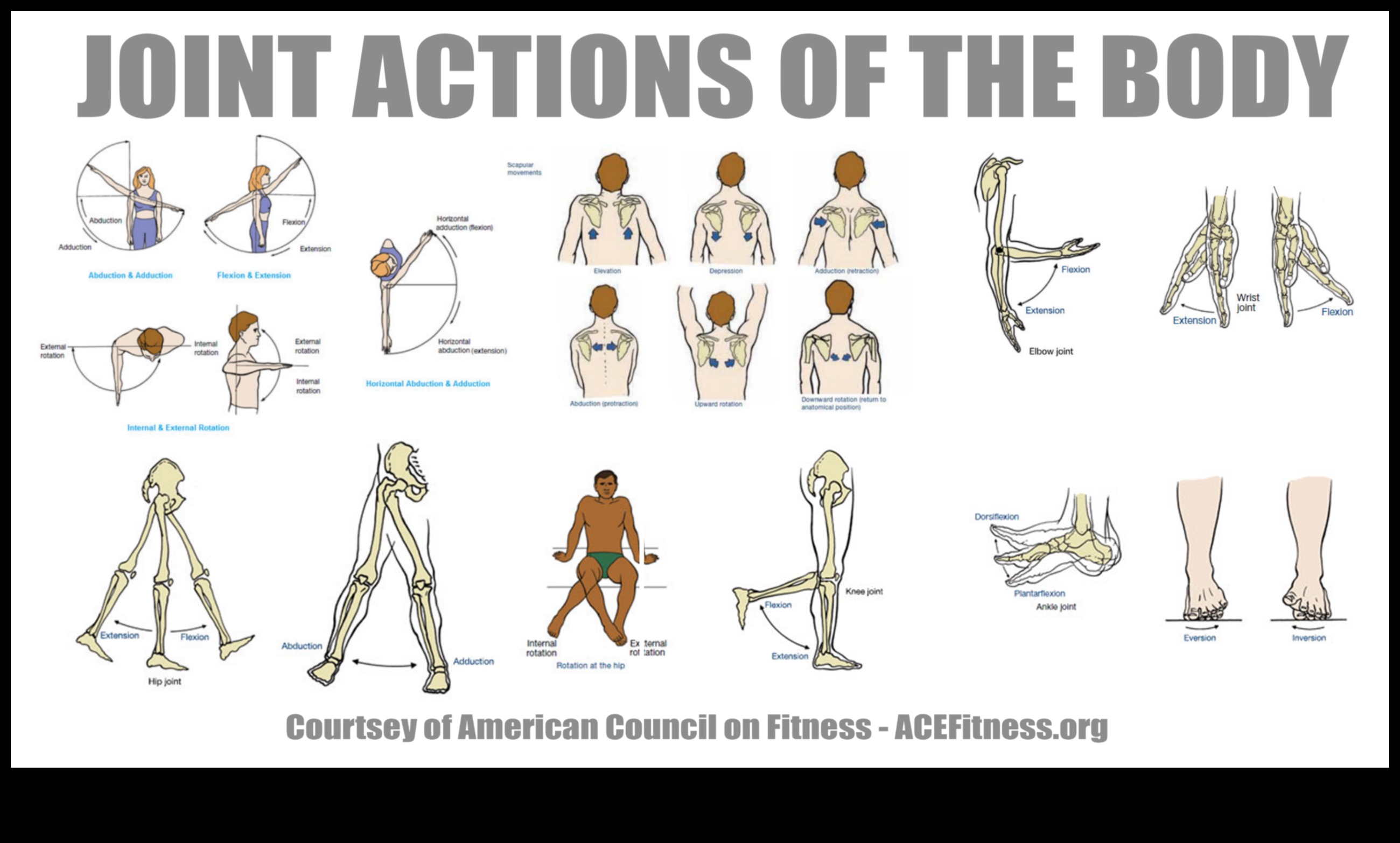 Stretching Synergy: Ενσωμάτωση ευελιξίας για κορυφαία φυσική απόδοση