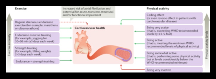 Beyond Cardio: Δημιουργία ολοκληρωμένης υγείας της καρδιάς