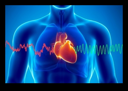 Heartbeat Resonance: The Echo of Cardiovascular Fitness