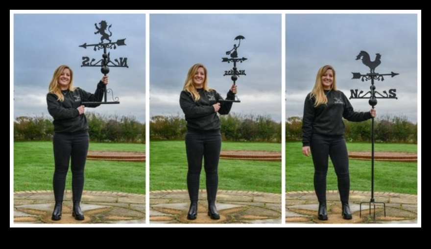 Wanderer's Weather Vane: Navigating Weather with Travel Tips