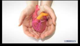 Beyond Cardio Μια ολιστική τρόπος απότιση τιμής σε ευεξία της καρδιάς 5 Beyond Cardio: Δημιουργία ολοκληρωμένης υγείας της καρδιάς