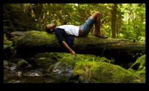 Forest Flow: Υπαίθριες Ασκήσεις που περιβάλλονται από ήρεμα δέντρα