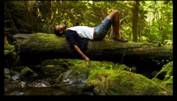 Forest Flow: Υπαίθριες Ασκήσεις που περιβάλλονται από ήρεμα δέντρα