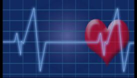 Heartbeat Resonance: The Echo of Cardiovascular Fitness