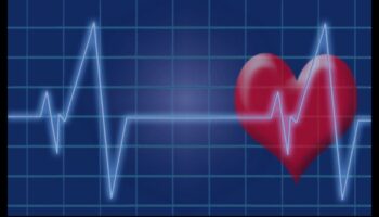 Heartbeat Resonance: The Echo of Cardiovascular Fitness