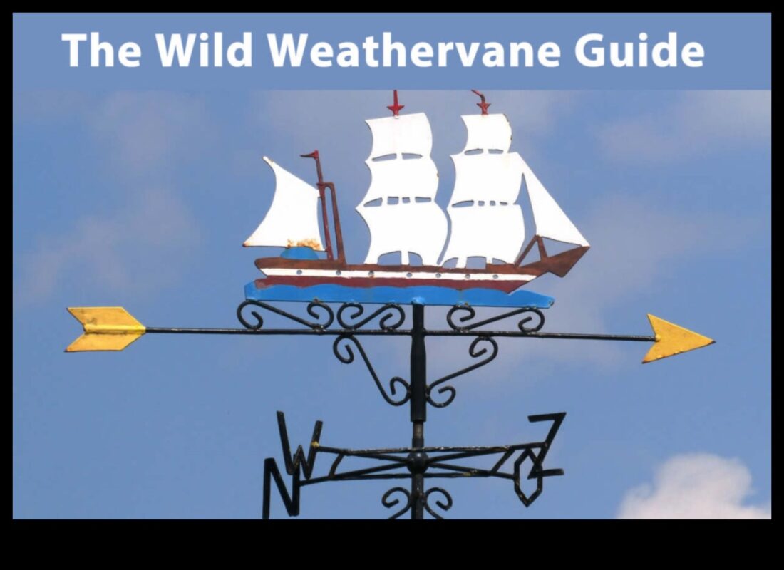 Wanderer's Weather Vane: Navigating Weather with Travel Tips