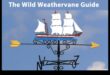 Wanderer's Weather Vane: Navigating Weather with Travel Tips